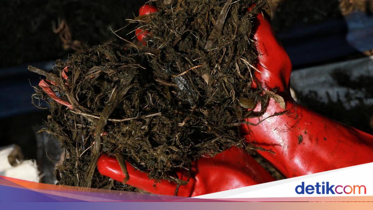 Hundreds of thousands of compost bags targeted to manage 60% of Badung's organic waste