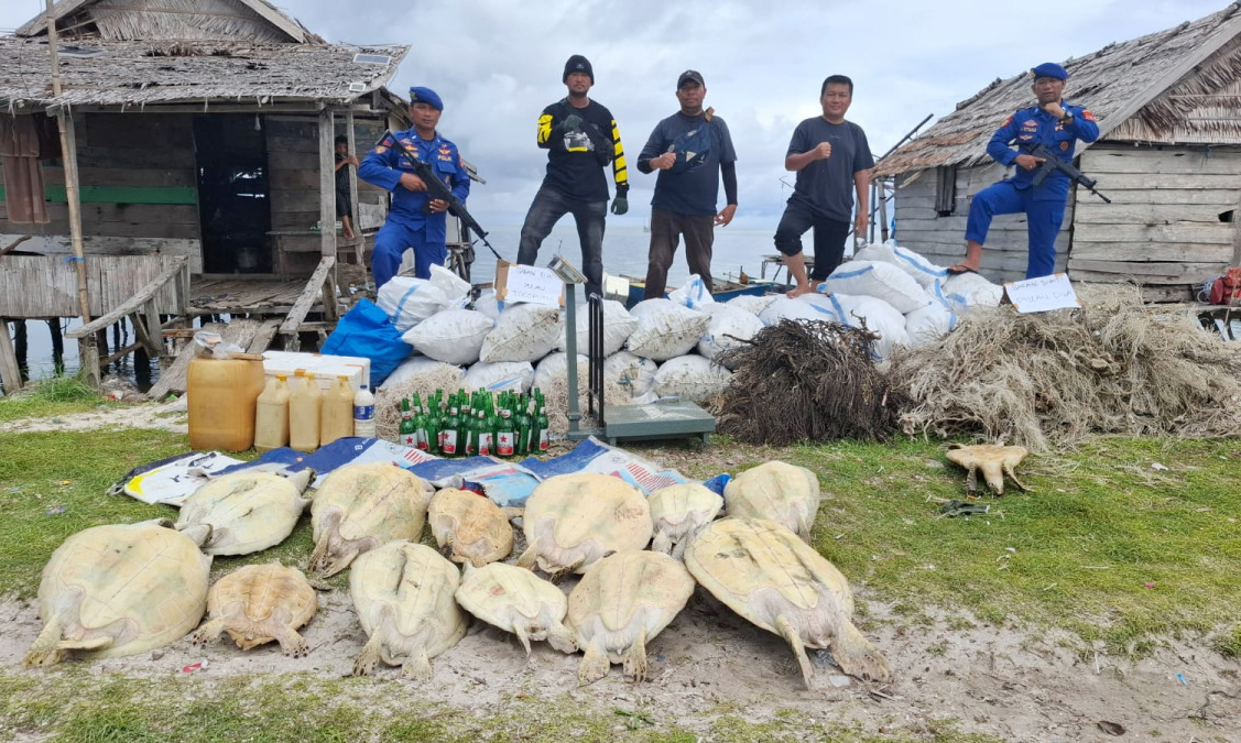 Banggai Kepulauan Marine Police Thwart Alleged Illegal Trade of 20 Tonnes of Sea Bamboo