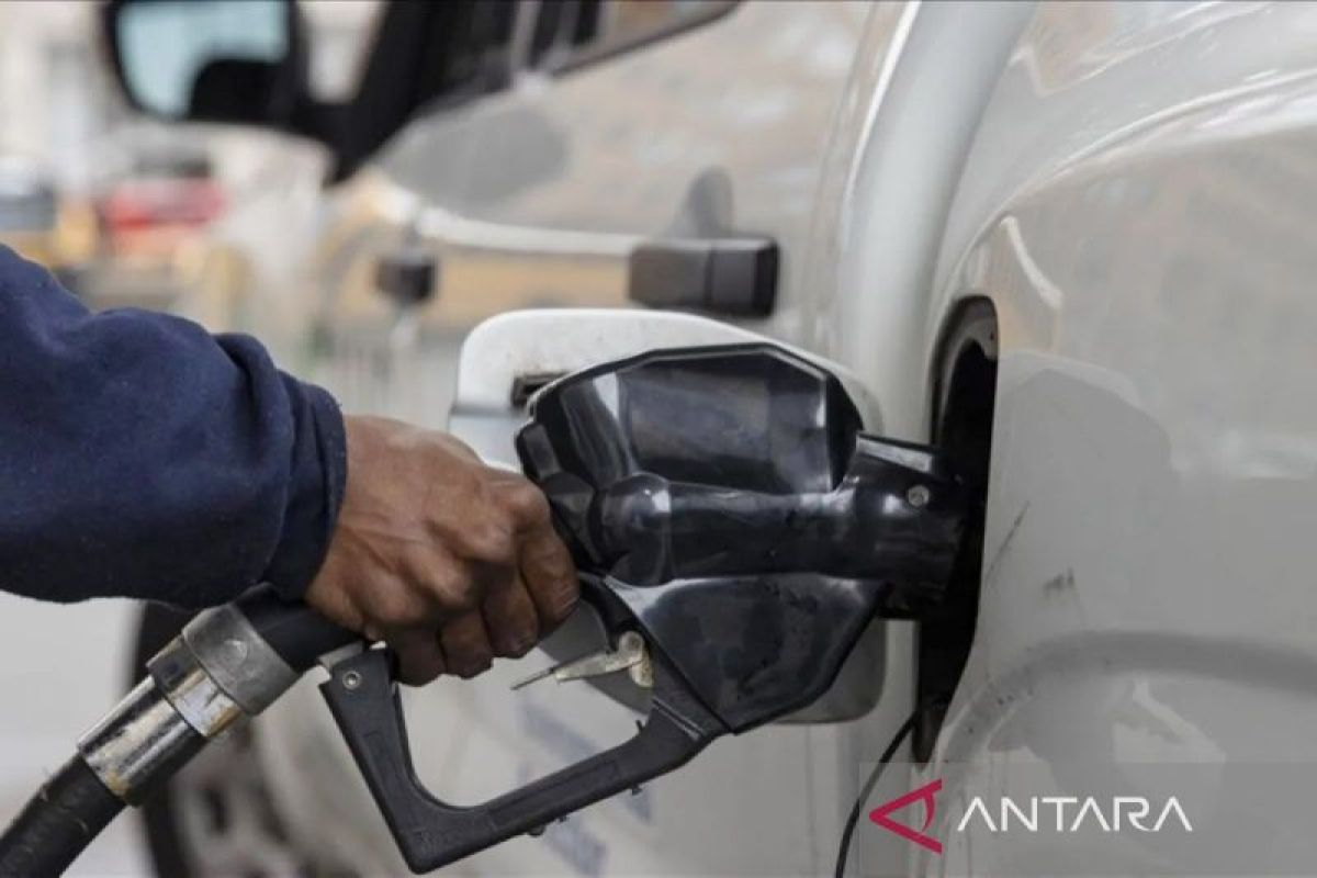 Italy criticises EU for slow action amid rising fuel prices