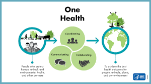 Climate Change and Uncontrolled Urbanisation Heighten the Risk of Outbreaks