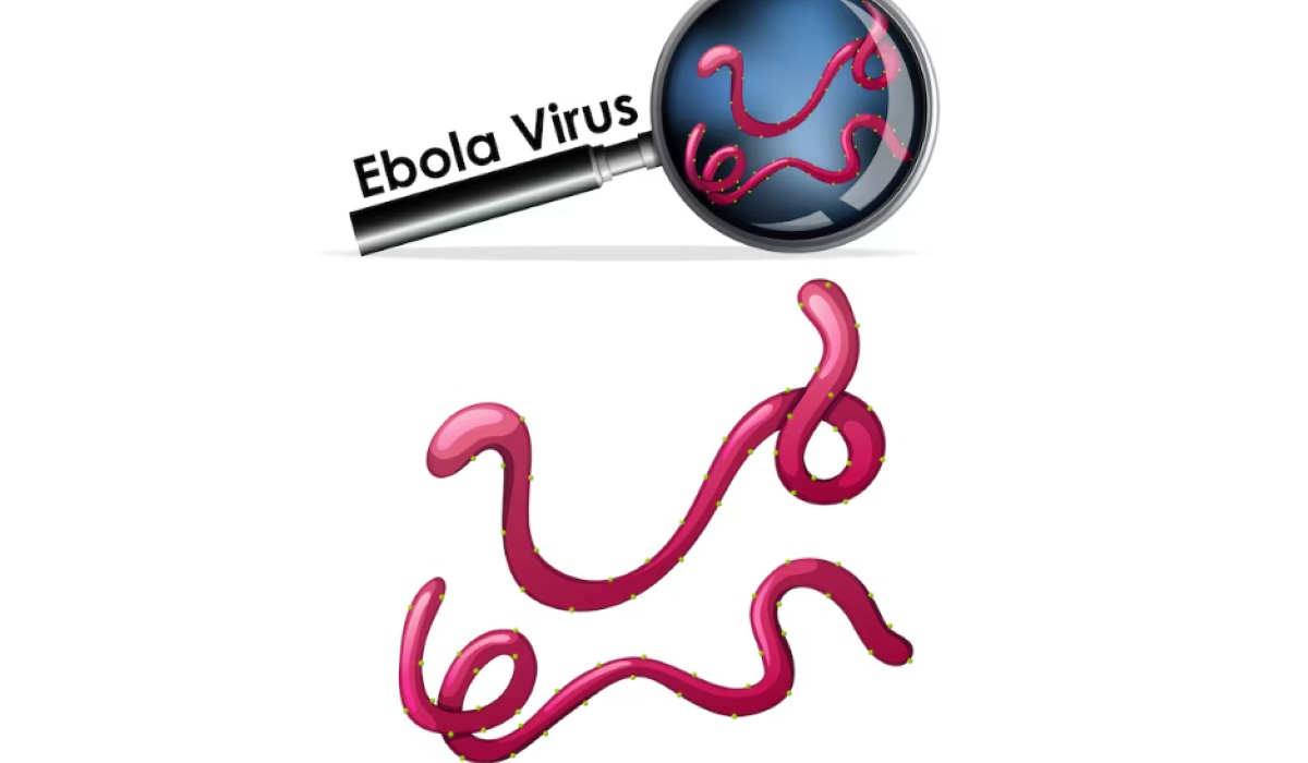 WHO Declares Global Health Emergency Over Bundibugyo Ebola Outbreak in Congo and Uganda