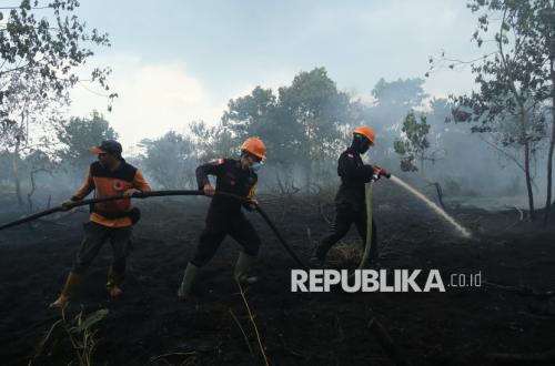 Kalimantan Surrounded by 9,853 Hotspots Ahead of El Niño