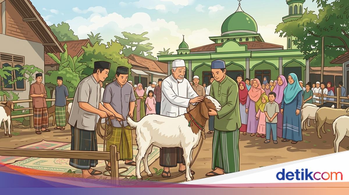Don't Get It Wrong: The Difference Between Qurban and Aqiqah
