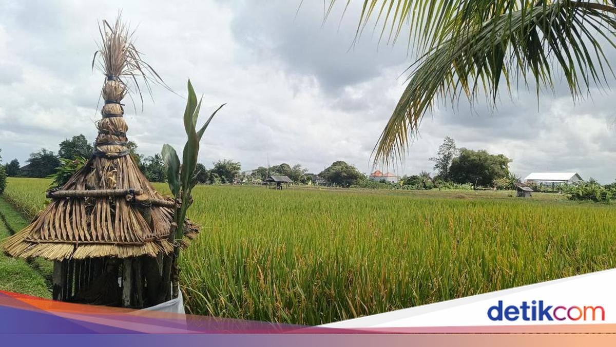 Major Challenge in Safeguarding 42 Subaks in Denpasar