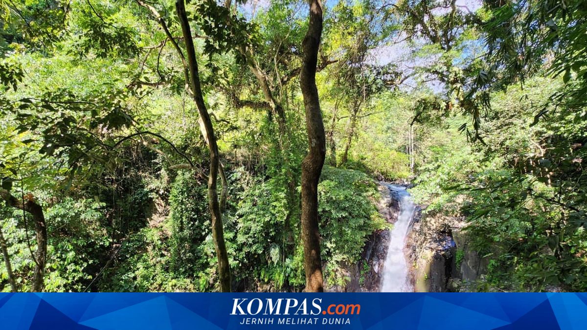 Kroya Waterfall in Bali to host the 2026 Red Bull Cliff Diving World Series