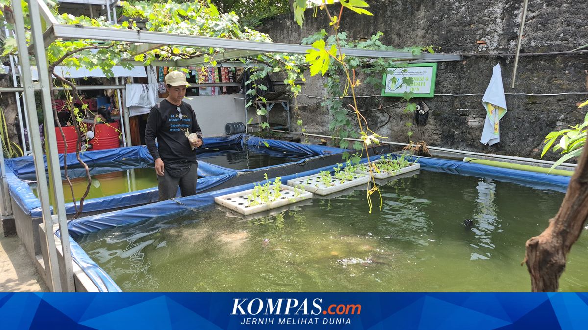 Koja Residents Turn Drug Den into Profitable Fish Pond