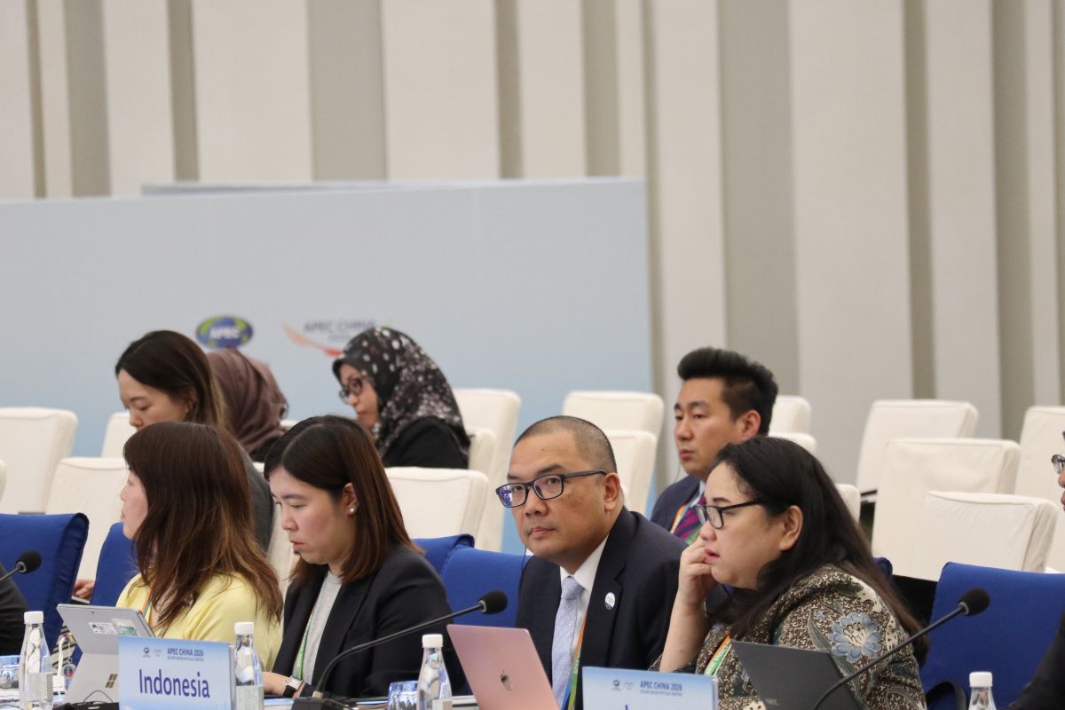 Indonesia supports China's APEC push on digital transformation