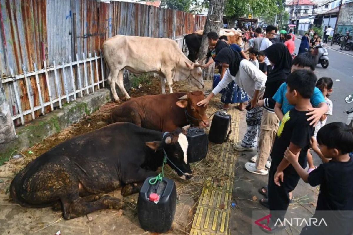 Pramono bans sacrificial-animal traders from selling on pavements