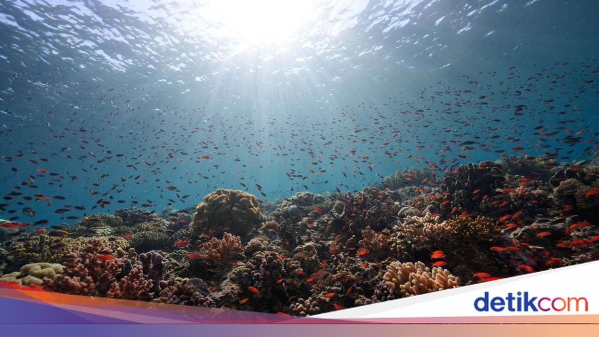International Biodiversity Day Celebrated on 22 May 2026: Its Theme