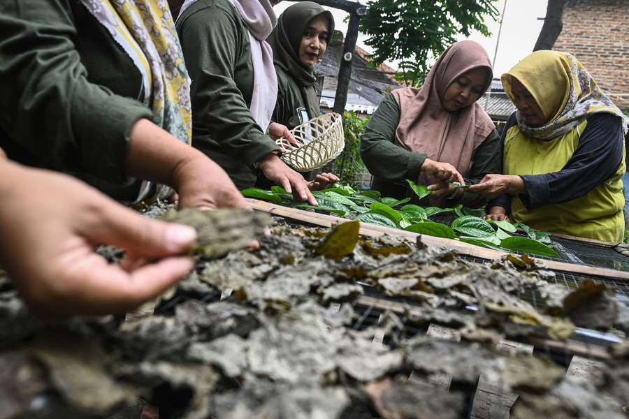 Indonesia Eyes the Global Herbal Stage Through Research-Based Phytopharmaceuticals