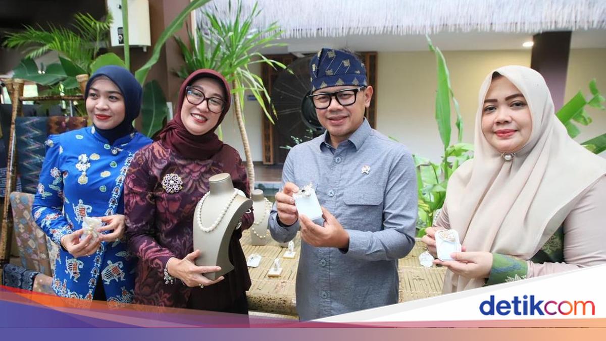 Boost Regional Economies, Deputy Minister of Home Affairs Urges Local Governments to Speed Up MSME Digitisation