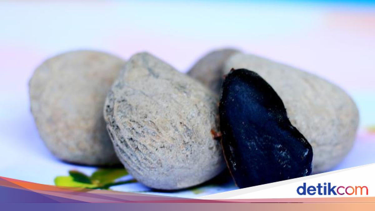 Harkitnas: Reviving Nusantara Food Biotechnology Through Keluak