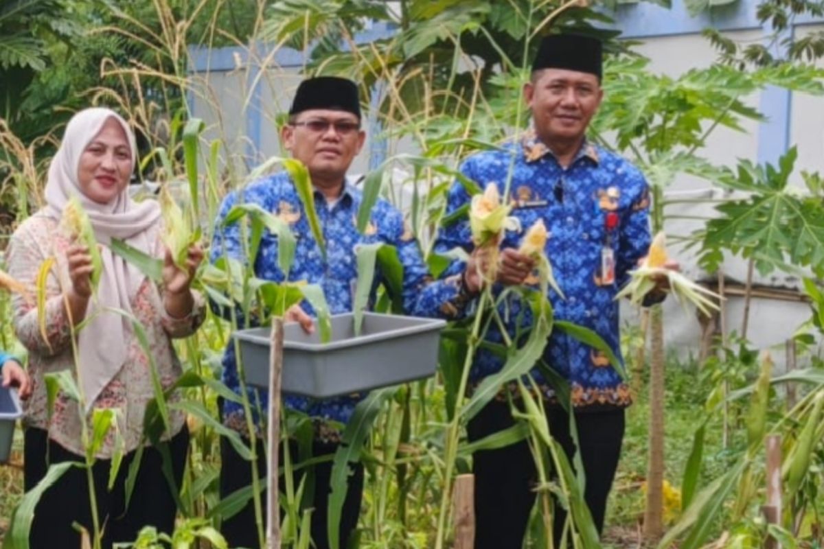 Pulau Untung Jawa Urban Village Harvests Maize on National Awakening Day