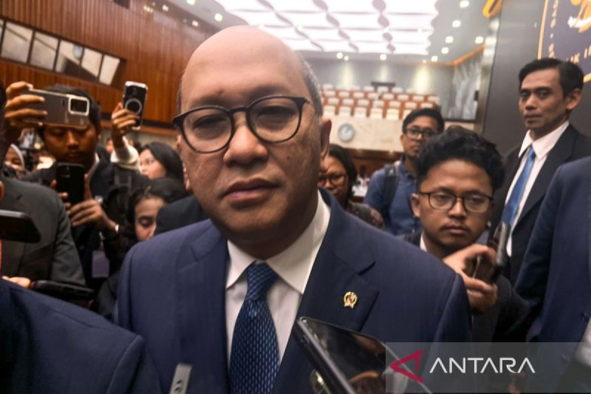 Rosan says SDA export reporting to DSI remains focused on record-keeping