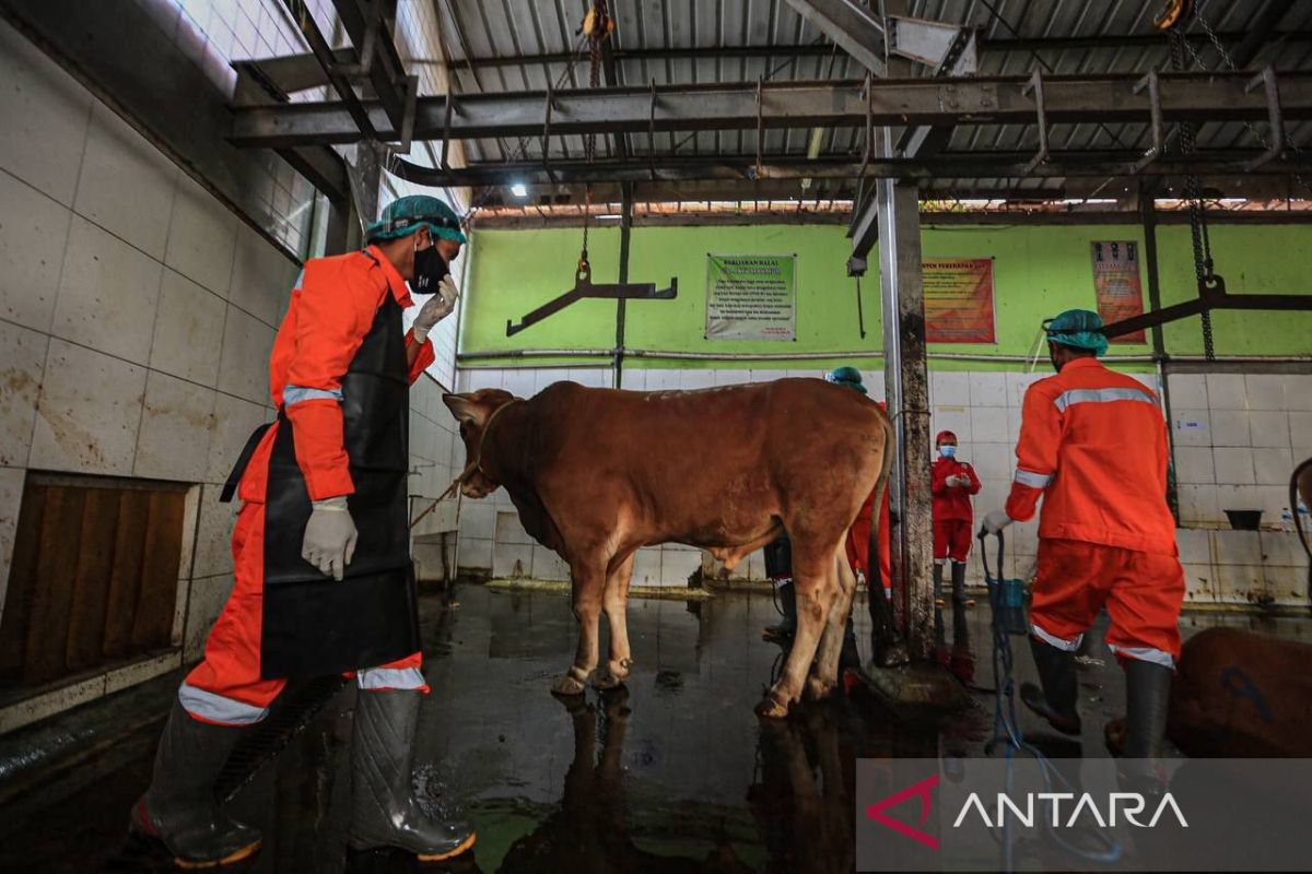 West Java DPRD and Provincial Government Tighten Oversight of Sacrificial Animal Slaughter