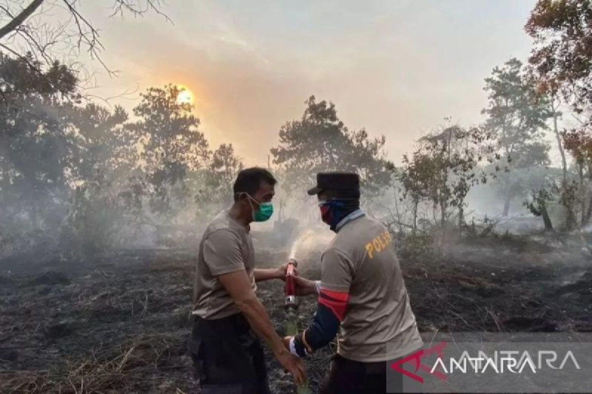 Walhi: The threat of forest and land fires in Indonesia remains high