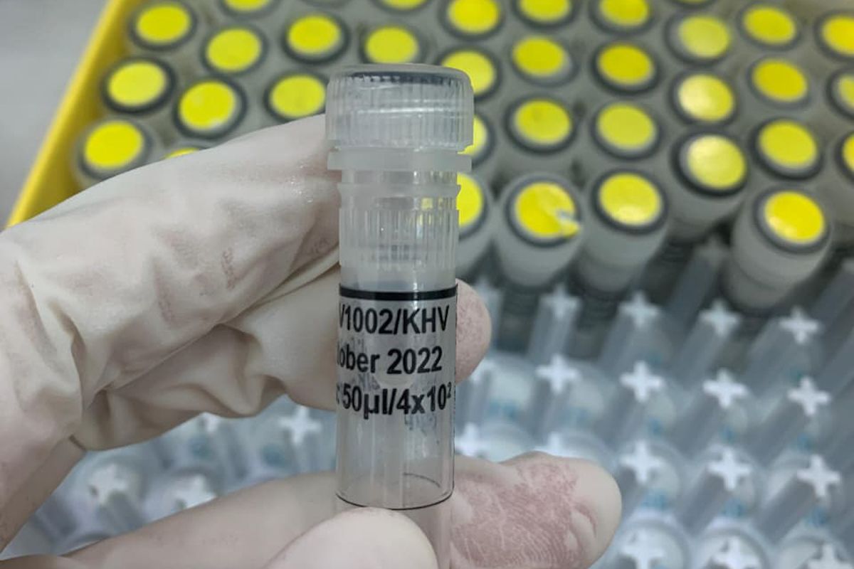 Standard Testing Quarantine earns Reference Material Producer Certificate from KAN