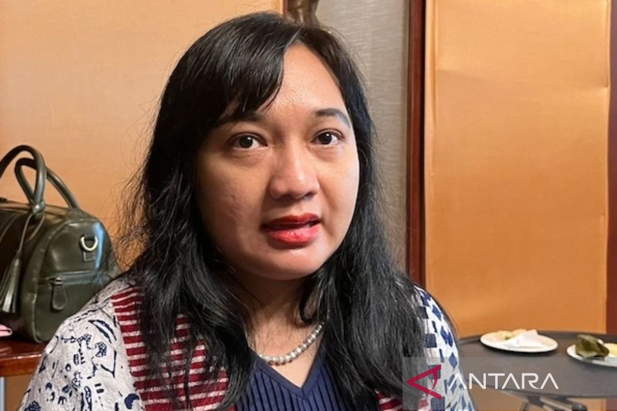Indef sees the formation of DSI as potentially streamlining Indonesia's natural resource exports