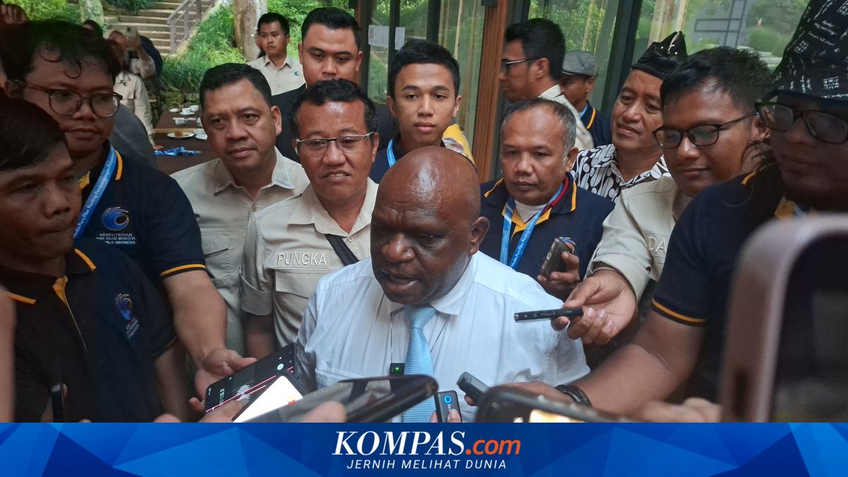 Pigai: Government Uses Diplomatic Channels and the UN to Protect Indonesian Citizens Detained by Israel