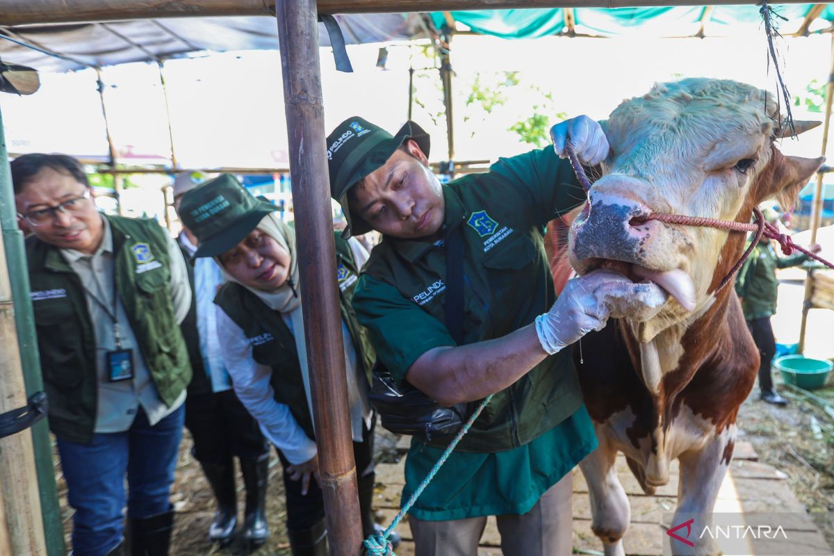 Surabaya City Government, Pelindo, Pusvetma Tighten Monitoring of Sacrificial Animals
