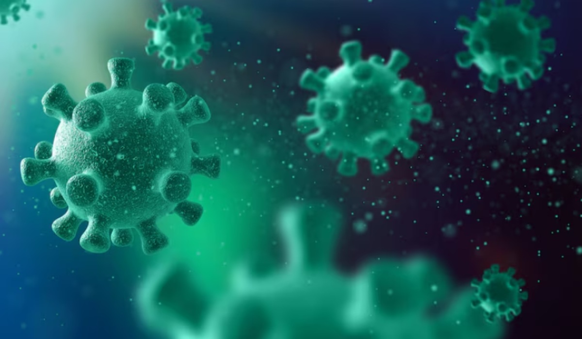 Now Is the Critical Moment to Stop the Spread of Hantavirus — Why?