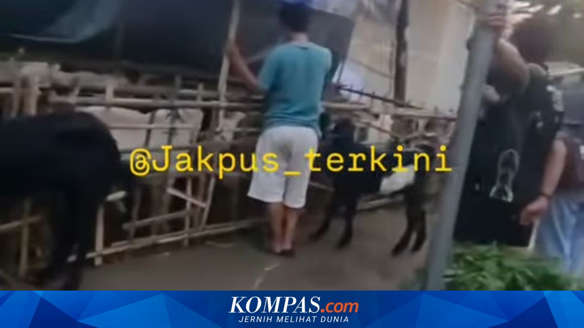 Goat-Seller Stalls on Central Jakarta Sidewalk Cleared after Going Viral