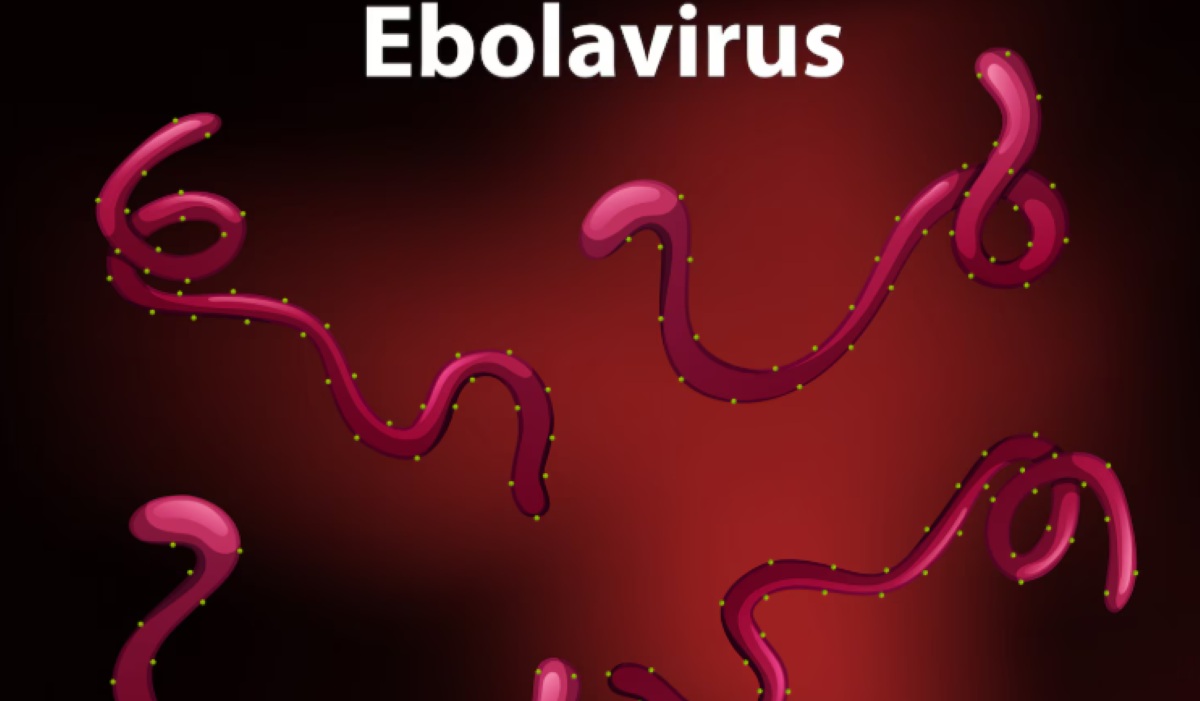 Ebola Outbreak in the DR Congo 2026: Transmission Rate Exceeds the Worst on Record