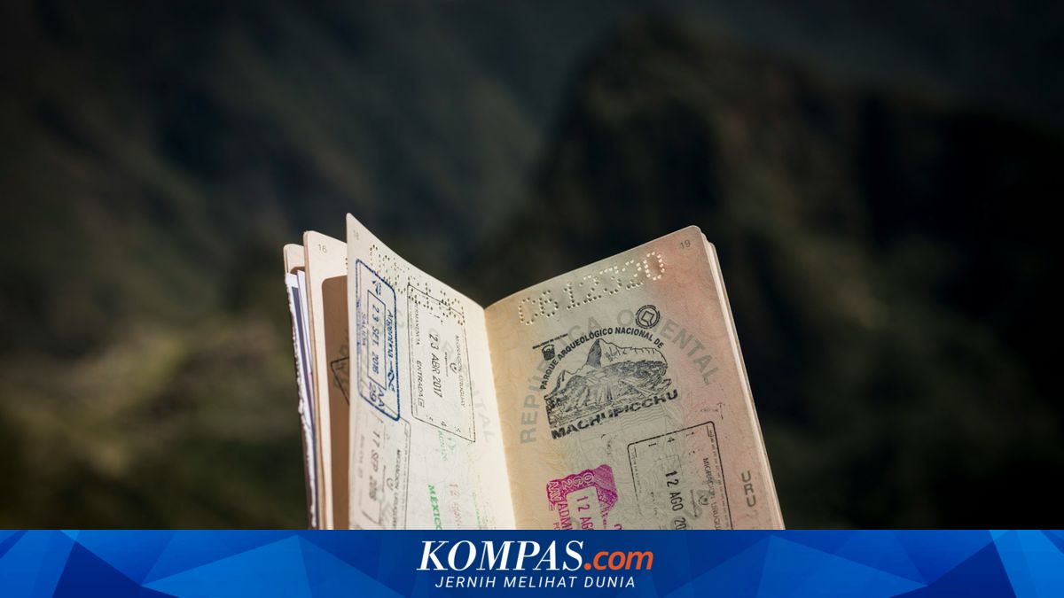 How to Obtain a Museum Passport for a Collection of Aesthetic Stamps