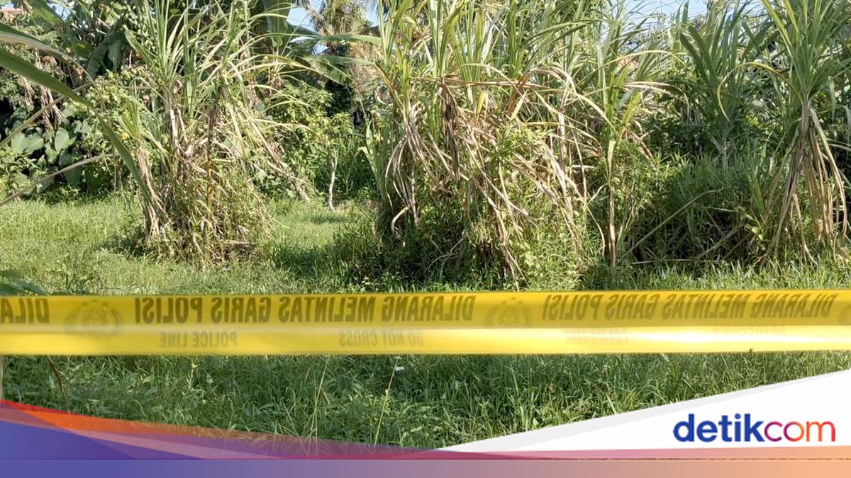 Chronology, Motive and Other Facts in Badung Case of Man Slashed and Wrapped in a Sack