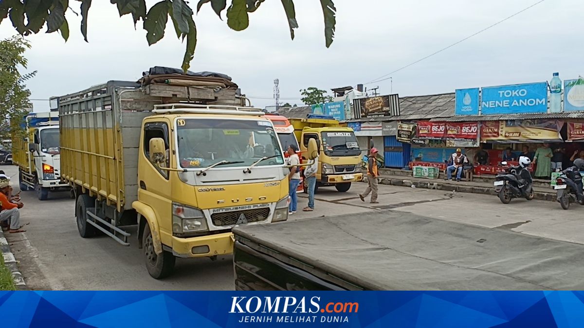 Subsidised biosolar for logistics transport must be properly targeted