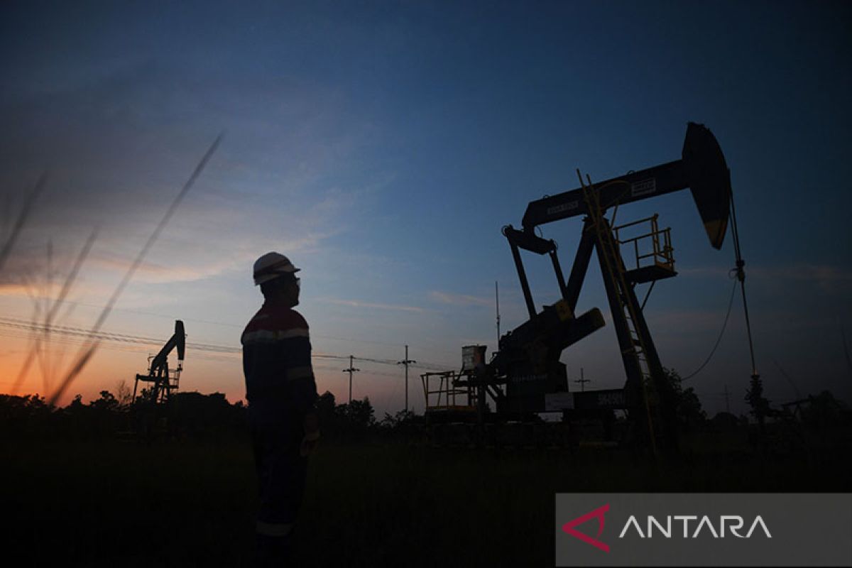 Indonesia launches auctions for 13 new oil and gas blocks