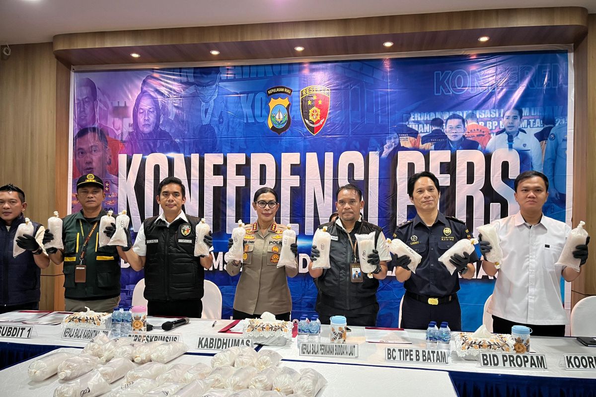 Around 100,000 lobster larvae seized in Batam, state losses estimated at Rp10 billion