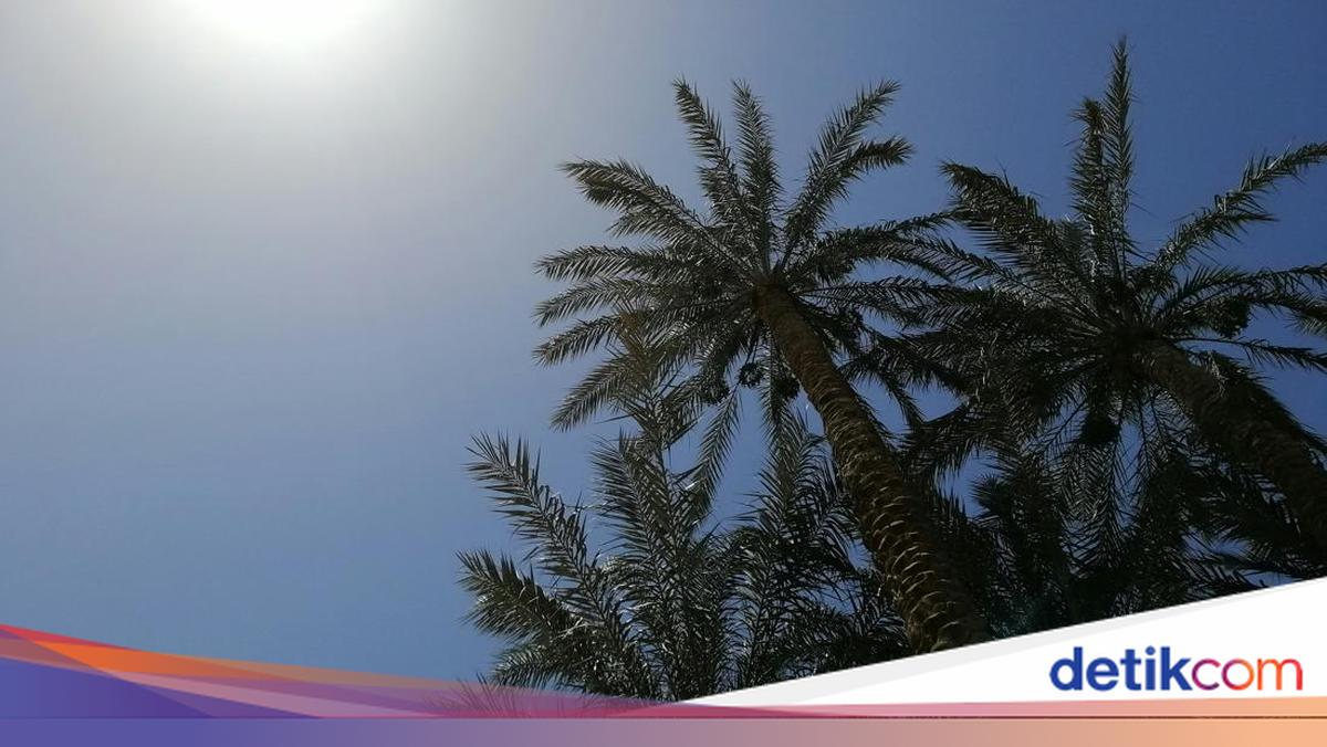 When Will the 2026 Dry Season Peak Begin? Check BMKG Predictions and Mitigations!