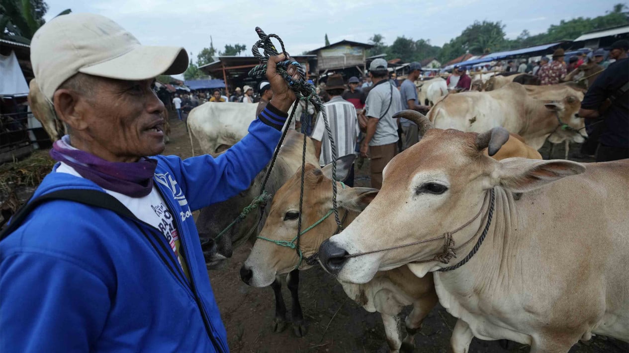 West Java Provincial Government Ensures Adequate Supply of Eid al-Adha Sacrificial Animals for 2026