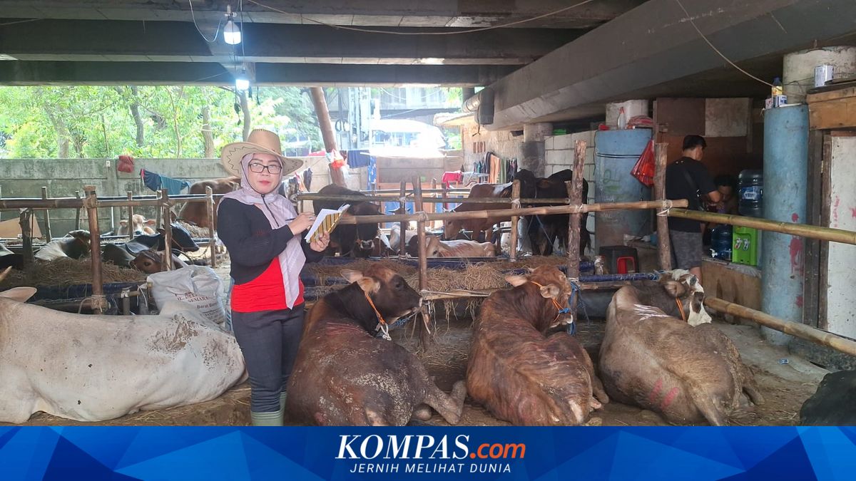 Jakarta's Public Order Agency to crack down on Eid al-Adha animal traders on sidewalks