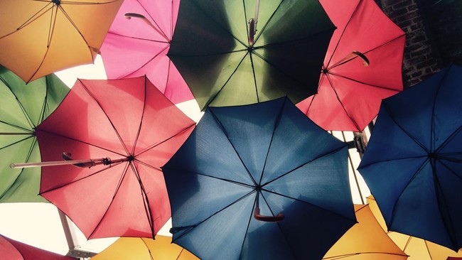 Young and Wealthy, Old and Secure: Find Out the Answer Here
