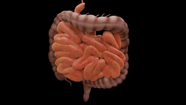 6 Foods That Can Help Prevent Colorectal Cancer