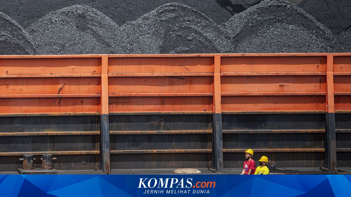 Centralisation of Natural Resource Exports Is Not the Right Solution