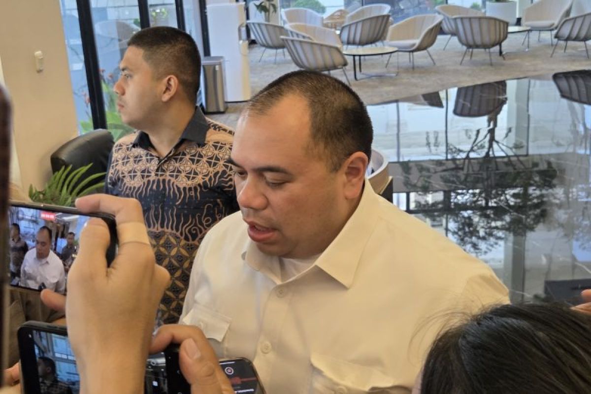 Danantara to continue honouring existing SDA export contracts