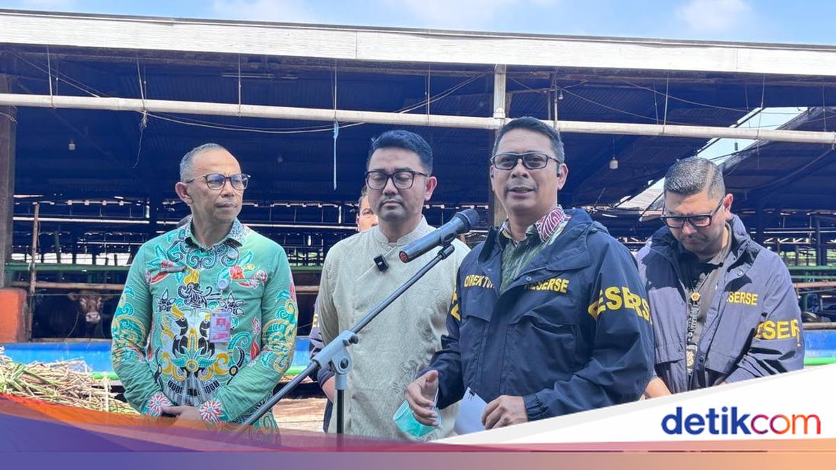 Metro Jaya Police and Jakarta's KPKP Inspect Eid al-Adha Sacrificial Animals at Dharma Jaya to Ensure They Are Free from FMD