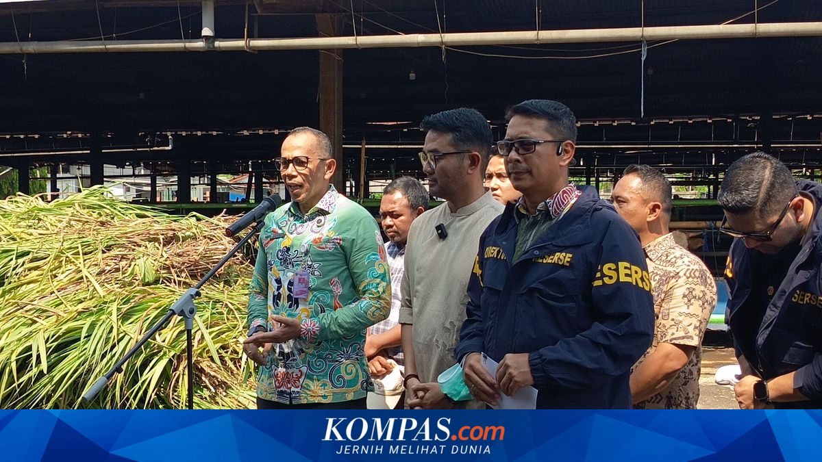 Health Certificate Required for Sacrificial Animals Entering Jakarta to Prevent Disease