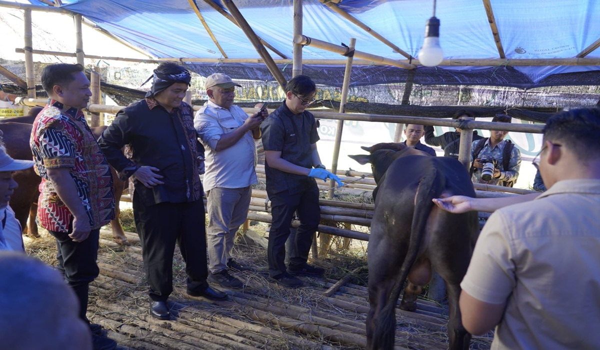 Tasikmalaya City's Sacrificial Animal Purchasing Power Falls 50% Ahead of Eid al-Adha 2026