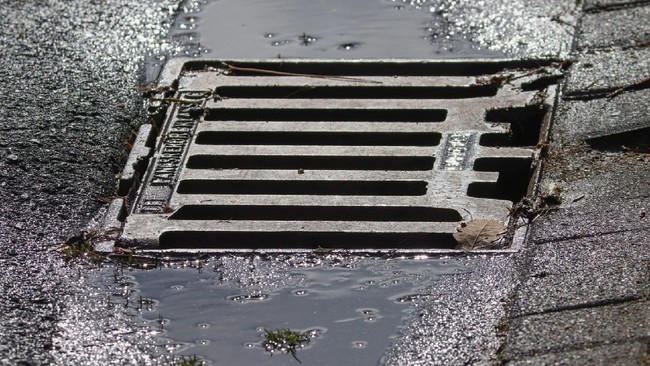 Experts reveal sewage water as a source of cancer and dangerous viruses