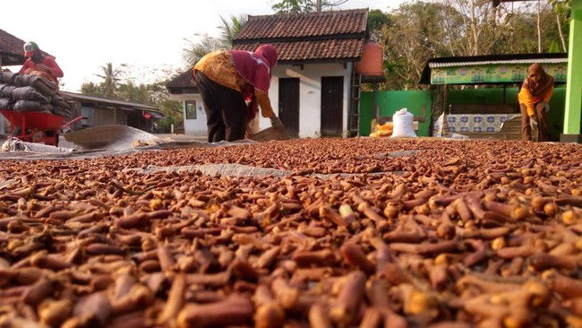 Lessons from the New Order: Tommy Soeharto's Monopoly over the Clove Commodity