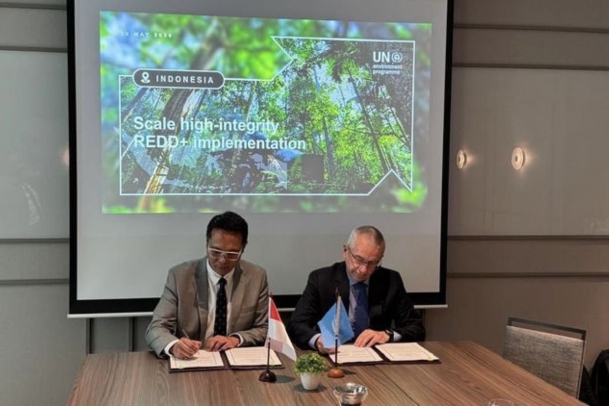 Indonesia, UNEP sign REDD+ implementation agreement