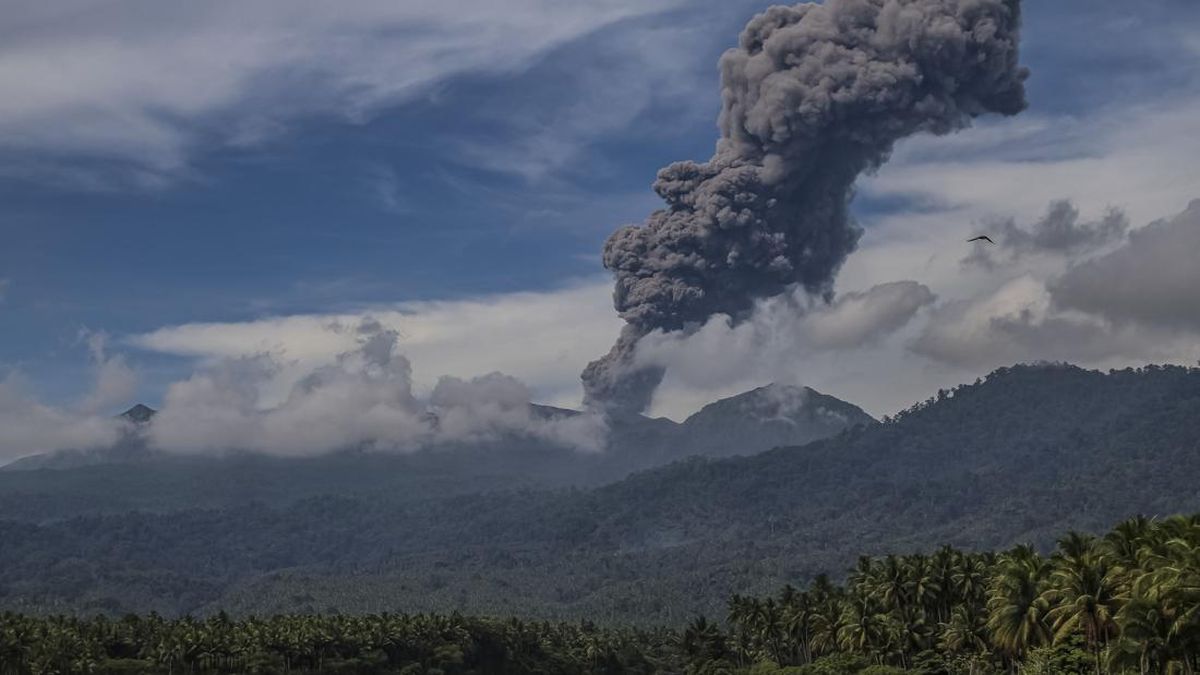 Three hikers die in Dukono eruption, owner of open-trip operator named as suspect