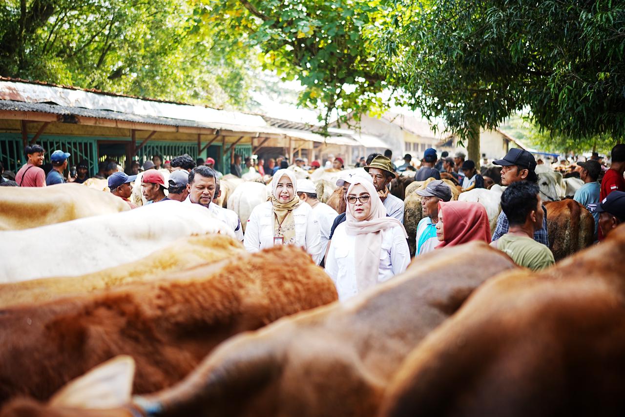 Ahead of Eid al-Adha, Purchasing Power for Sacrificial Animals Slips
