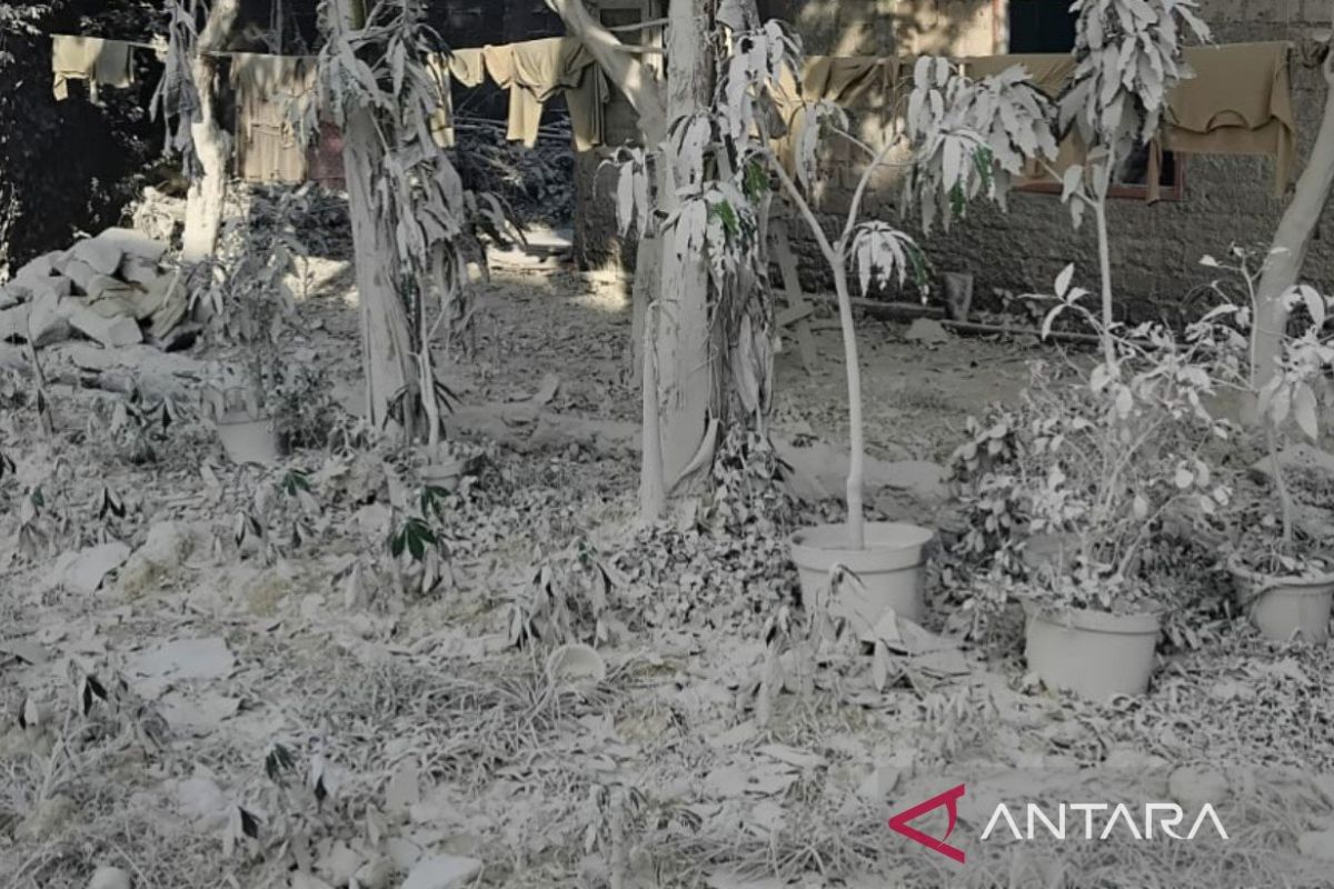 Cement Raw Material Leak Triggers 'Ash Rain' in Kemang
