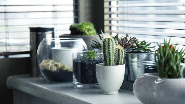 9 Bad-Luck Objects You Should Not Keep at Home