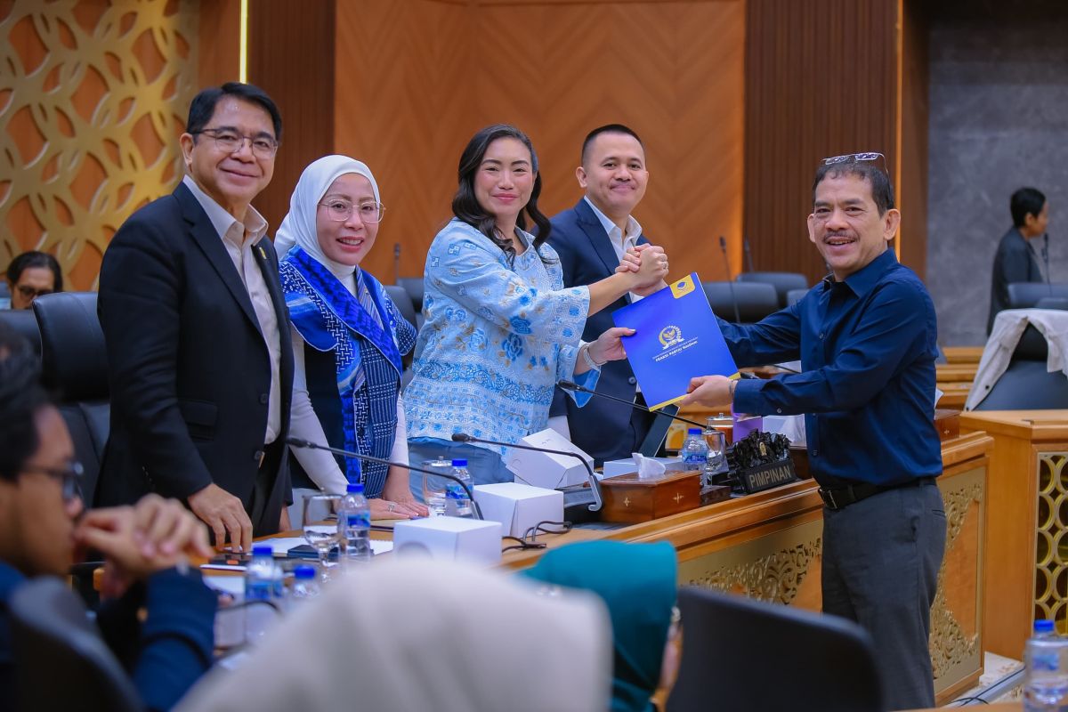 Pansus: The Industrial Design Bill is crucial to protect intellectual property